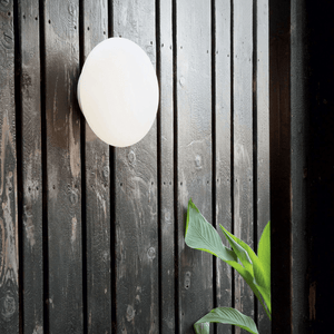 Exterior Wall Light Bubble Wall Light