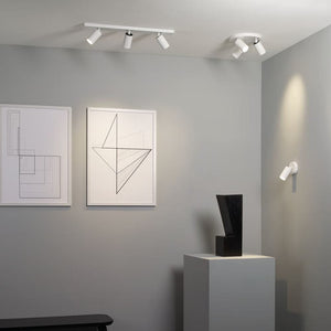 Interior Bar & Spot Can 50 Single Spotlight