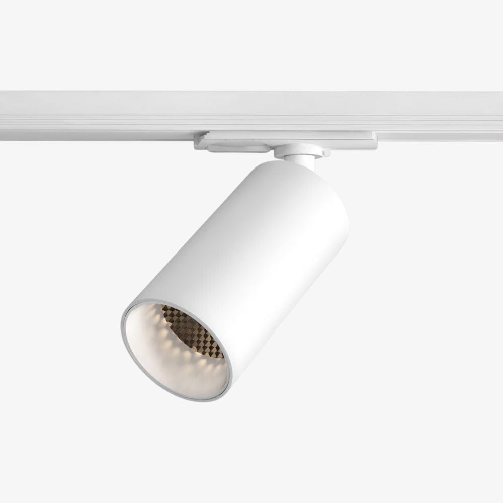 Track Lighting Can 50 Track Light