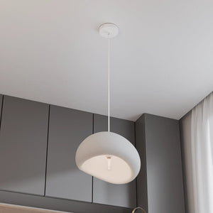 Interior Pendant Cardinal Pendant Light