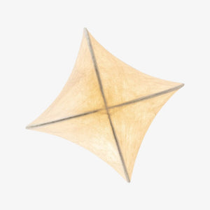 Interior Pendant Chrysalis Pendant