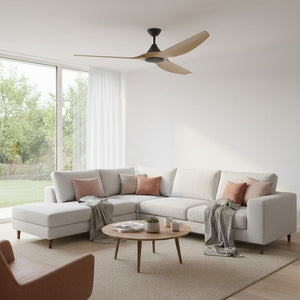 Without Light ClouldFan Smart DC Ceiling Fan Black with Teak Blades - No Light