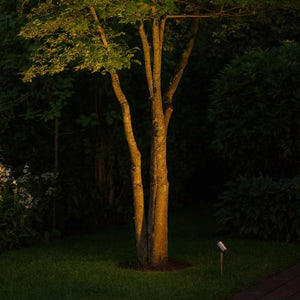 Exterior Spike Light Collaroy Spike Light - Adjustable - 12V