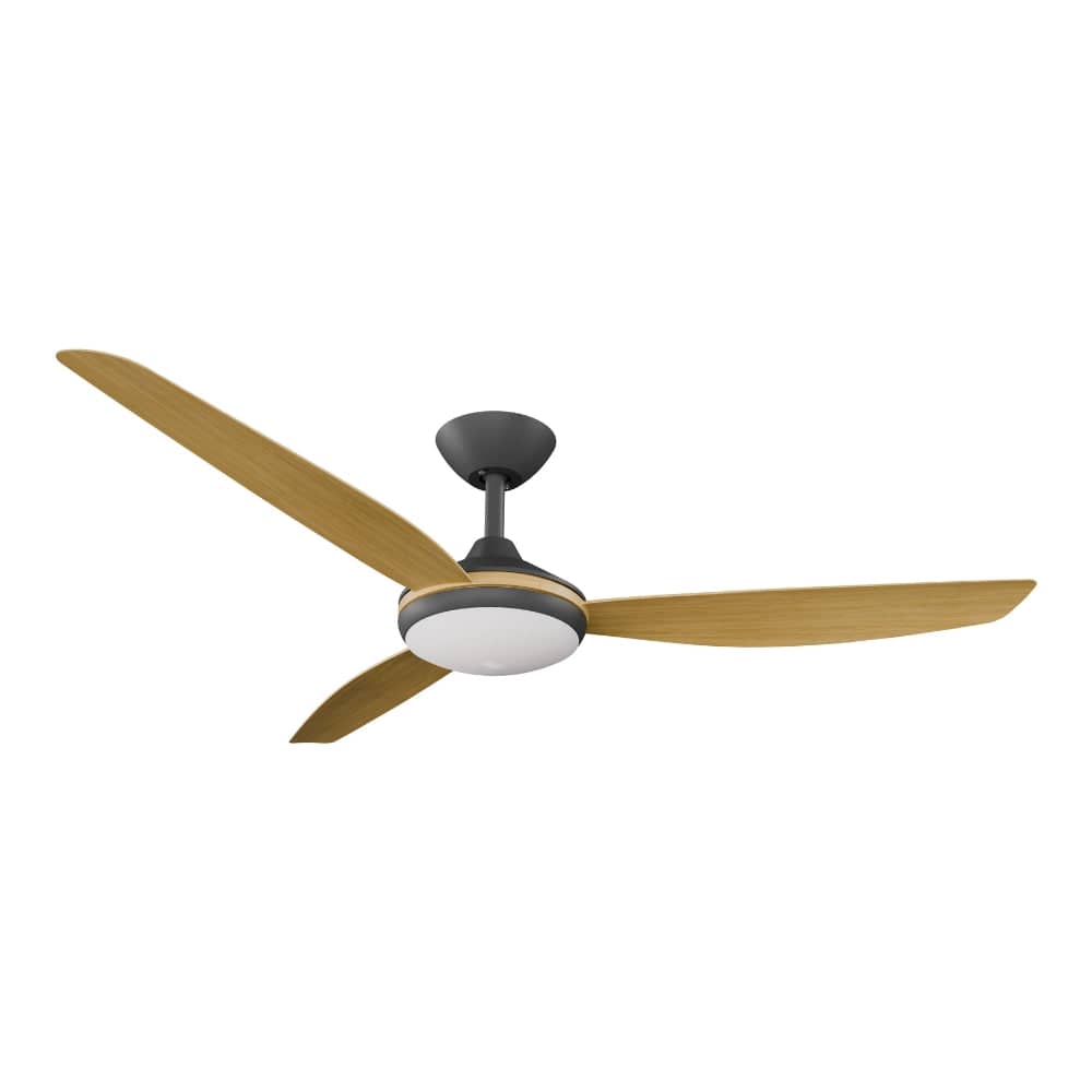 With Light Condor DC Ceiling Fan Black with Bamboo Blades - With Light