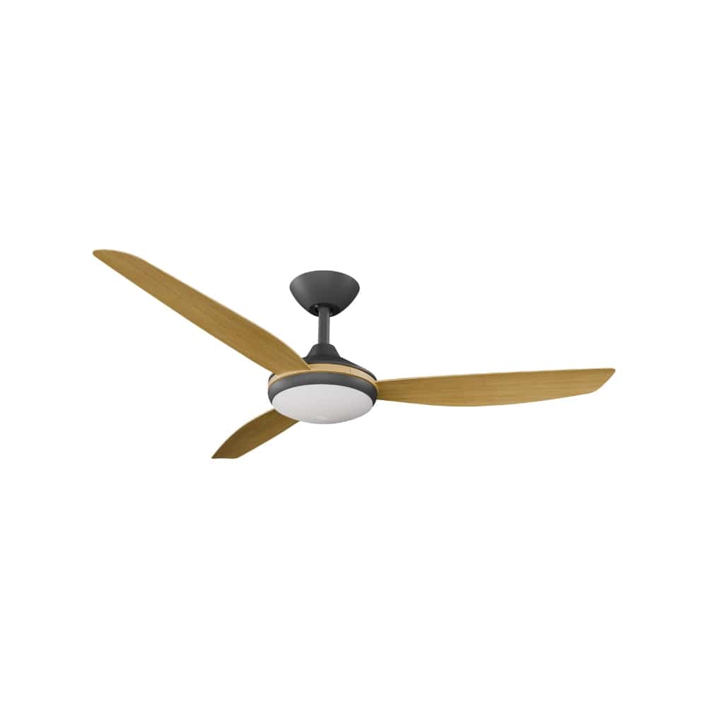 With Light Condor DC Ceiling Fan Black with Bamboo Blades - With Light