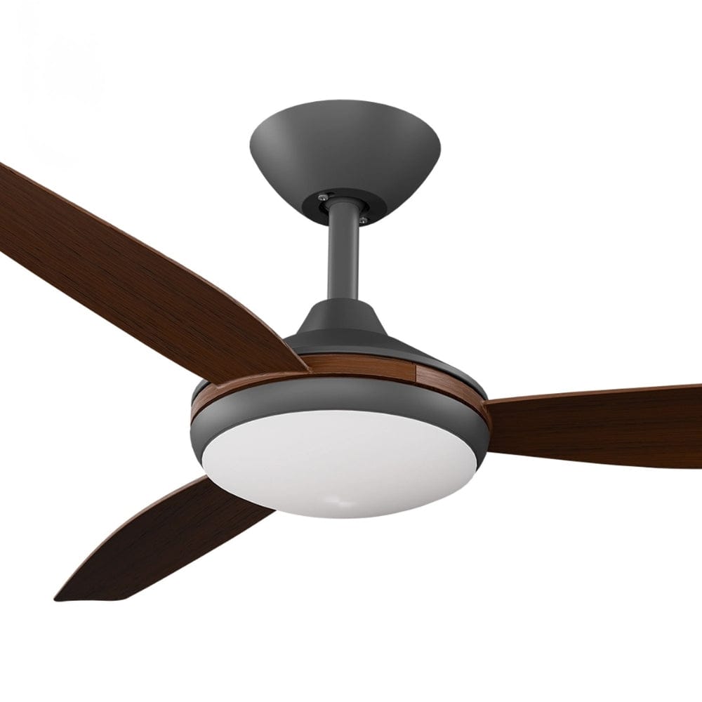 With Light Condor DC Ceiling Fan Black with Koa Blades - With Light