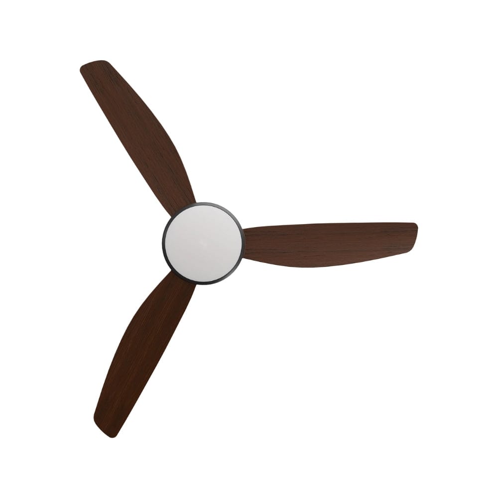 With Light Condor DC Ceiling Fan Black with Koa Blades - With Light