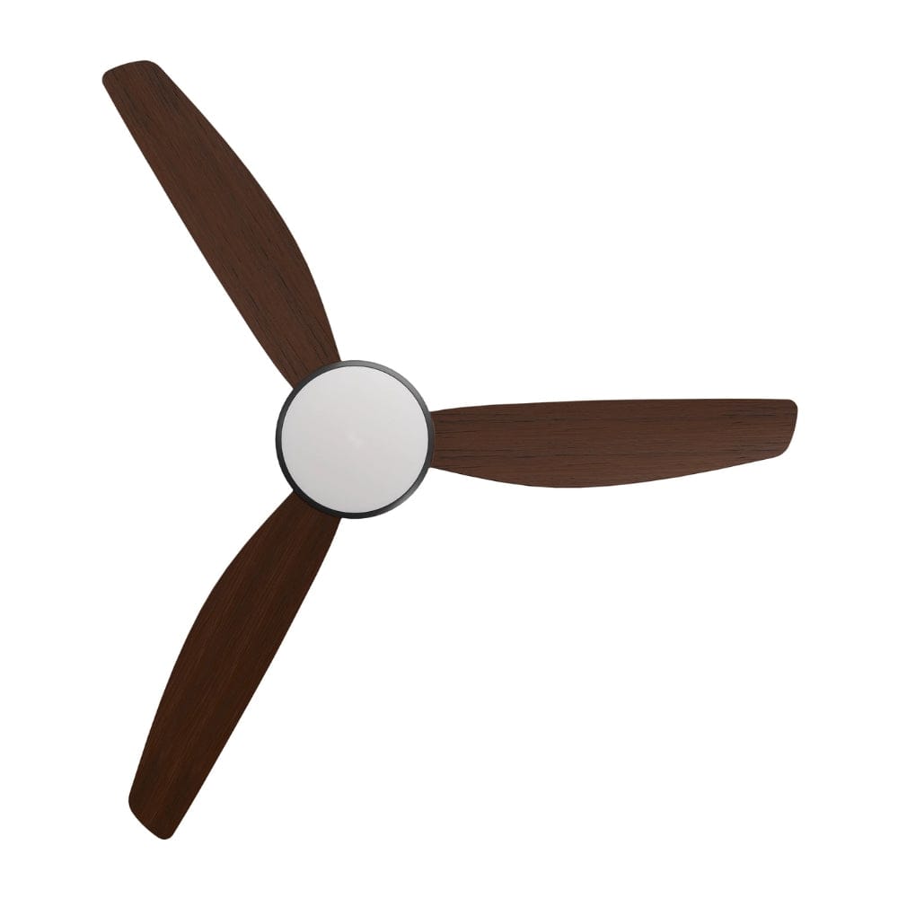 With Light Condor DC Ceiling Fan Black with Koa Blades - With Light