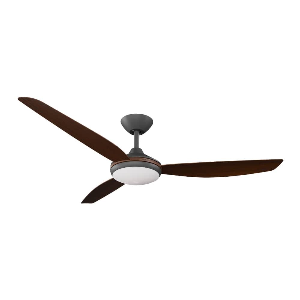 With Light Condor DC Ceiling Fan Black with Koa Blades - With Light