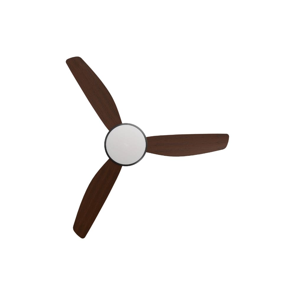 With Light Condor DC Ceiling Fan Black with Koa Blades - With Light