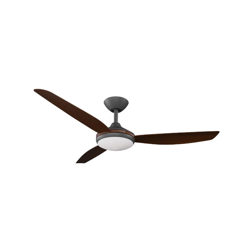 With Light Condor DC Ceiling Fan Black with Koa Blades - With Light