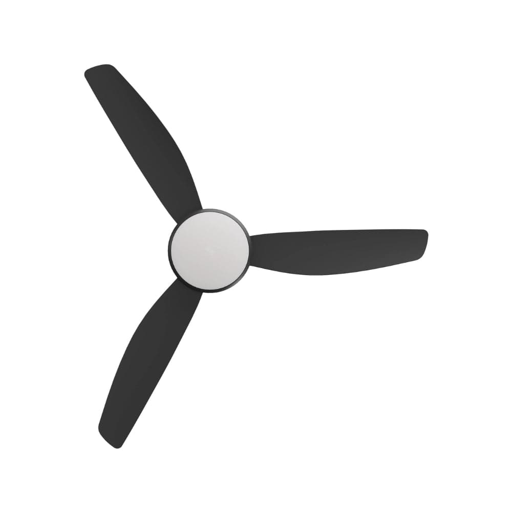 With Light Condor DC Ceiling Fan Black - With Light