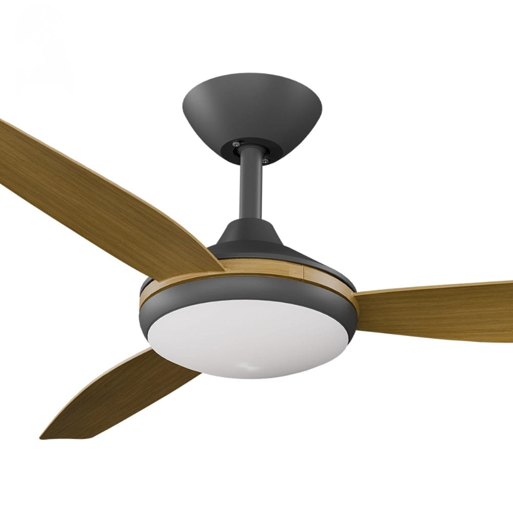 With Light Condor DC Ceiling Fan Black with Teak Blades - With Light