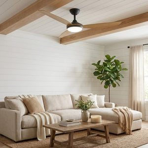 With Light Condor DC Ceiling Fan Black with Teak Blades - With Light