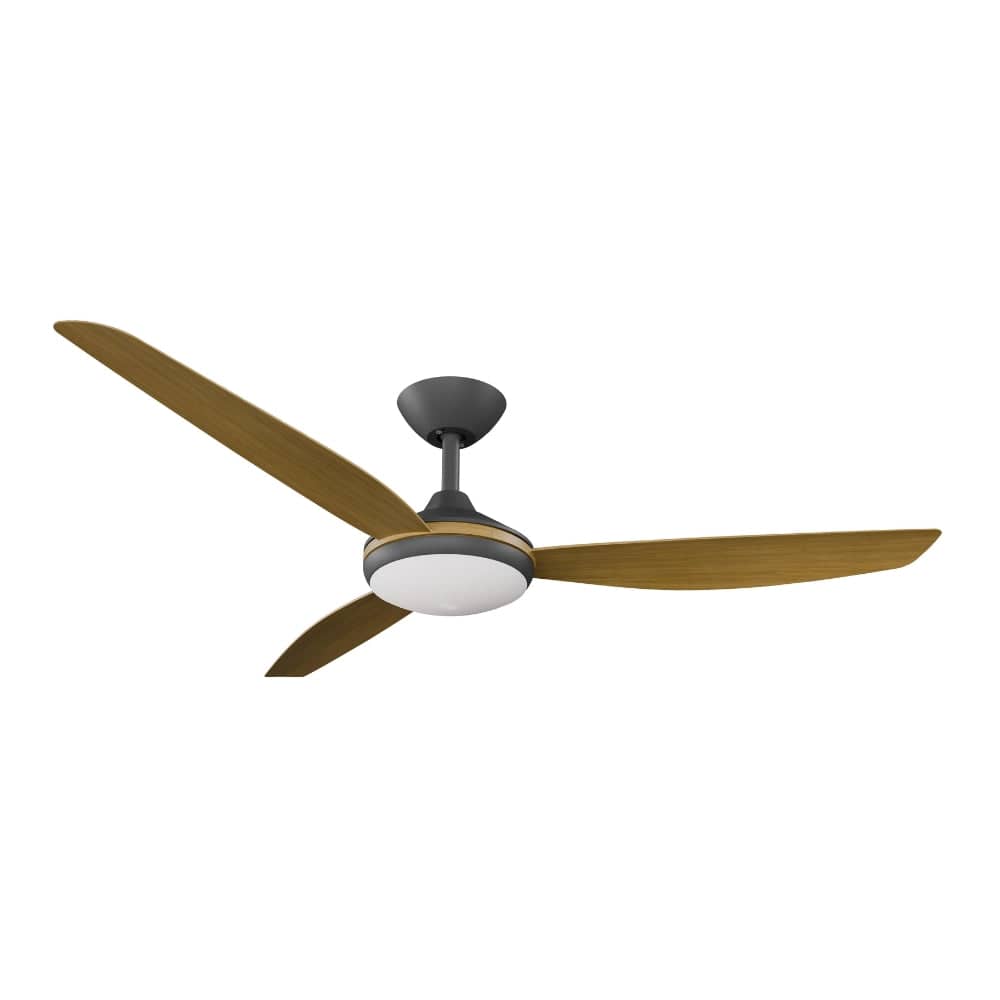 With Light Condor DC Ceiling Fan Black with Teak Blades - With Light