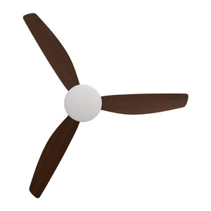 With Light Condor DC Ceiling Fan White with Koa Blades - With Light