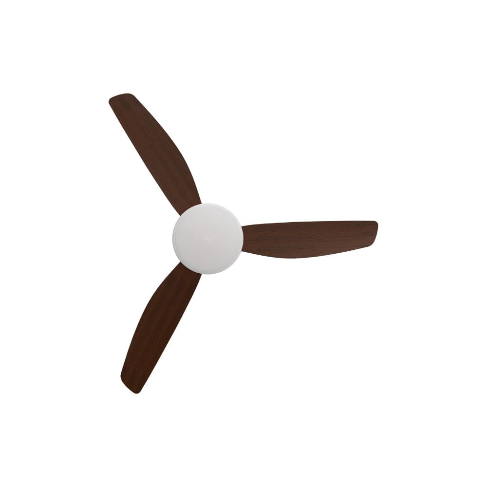 With Light Condor DC Ceiling Fan White with Koa Blades - With Light