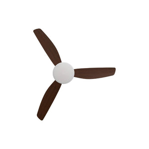 With Light Condor DC Ceiling Fan White with Koa Blades - With Light