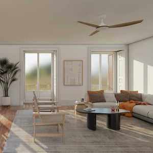 Without Light Condor DC Ceiling Fan White with Teak Blades - No Light