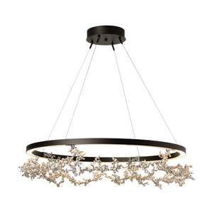 Interior Pendant Coral LED Ring Pendant