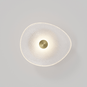 Interior Wall Light / Sconce Coral Organic Wall Sconce