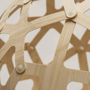 Interior Pendant Coral Pendant