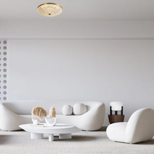 Interior Flush & Semi Flush Darter Ceiling Light