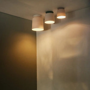 Interior Flush & Semi Flush Dawn - Ceiling Light