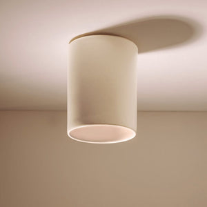 Interior Flush & Semi Flush Dawn Surface Mount Ceiling Light