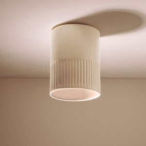 Interior Flush & Semi Flush Day Surface Mount Ceiling Light