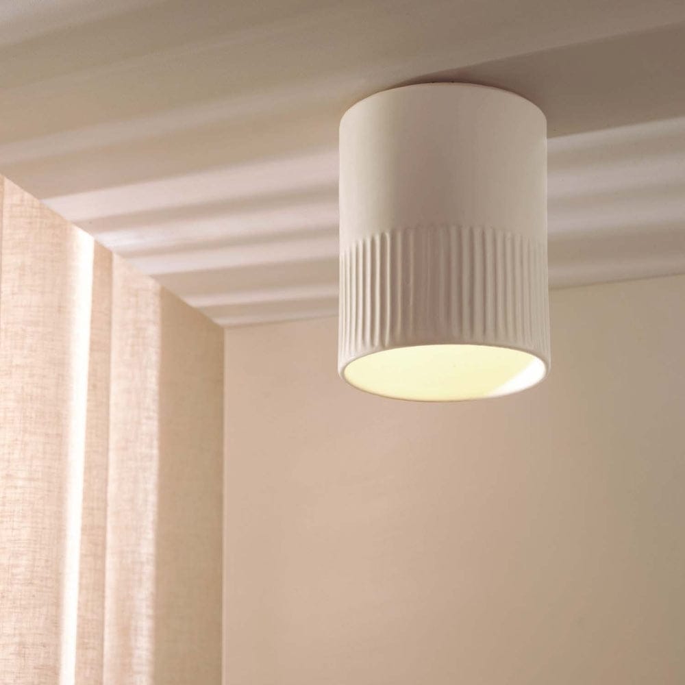 Interior Flush & Semi Flush Day Surface Mount Ceiling Light