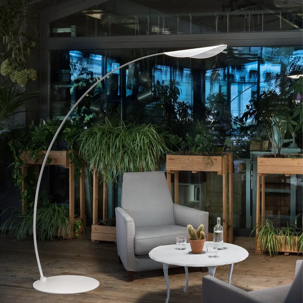 Floor Lamps Diphy Floor Lamp