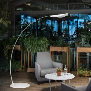 Floor Lamps Diphy Floor Lamp