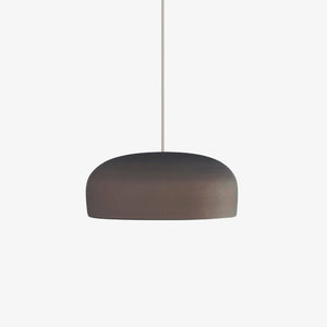 Interior Pendant Dish Pendant