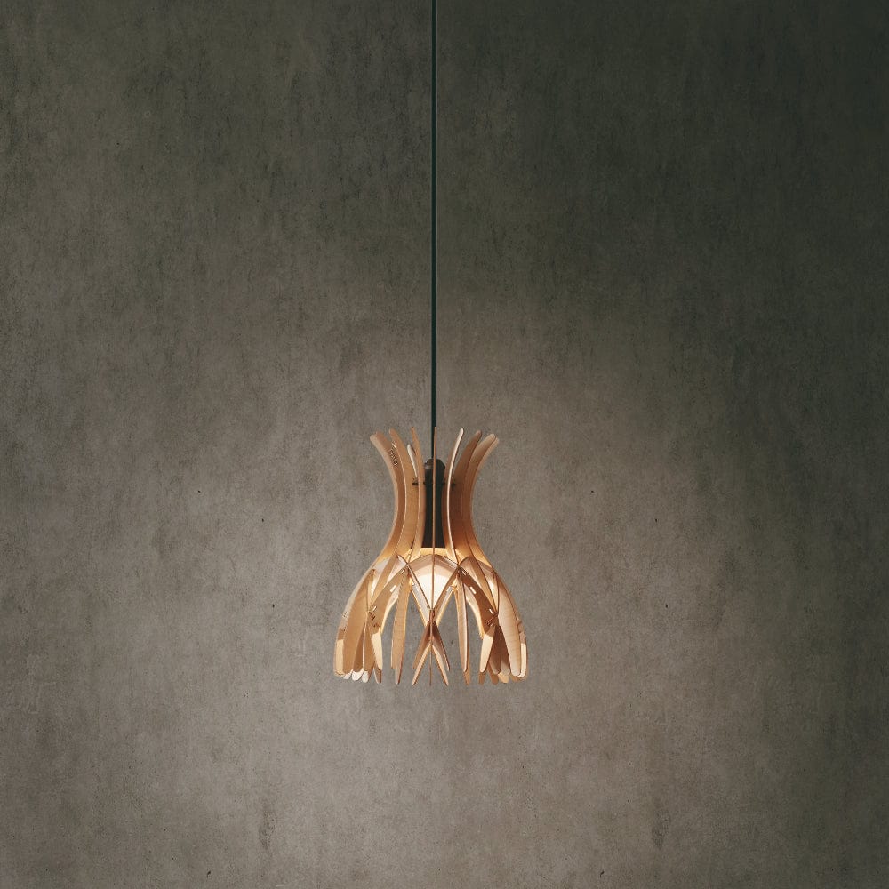 Interior Pendant Domita S20 Pendant
