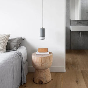 Interior Pendant Dusked Pendant Light
