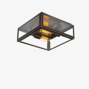 Interior Flush & Semi Flush Elm Ceiling Lantern