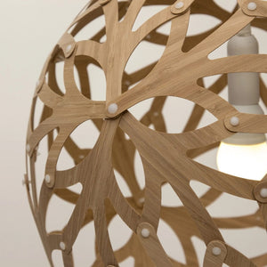 Interior Pendant Floral Pendant