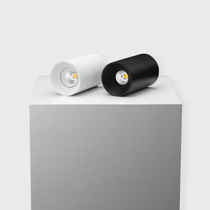 Surface Mounted Fuoco Round Surface Fixed