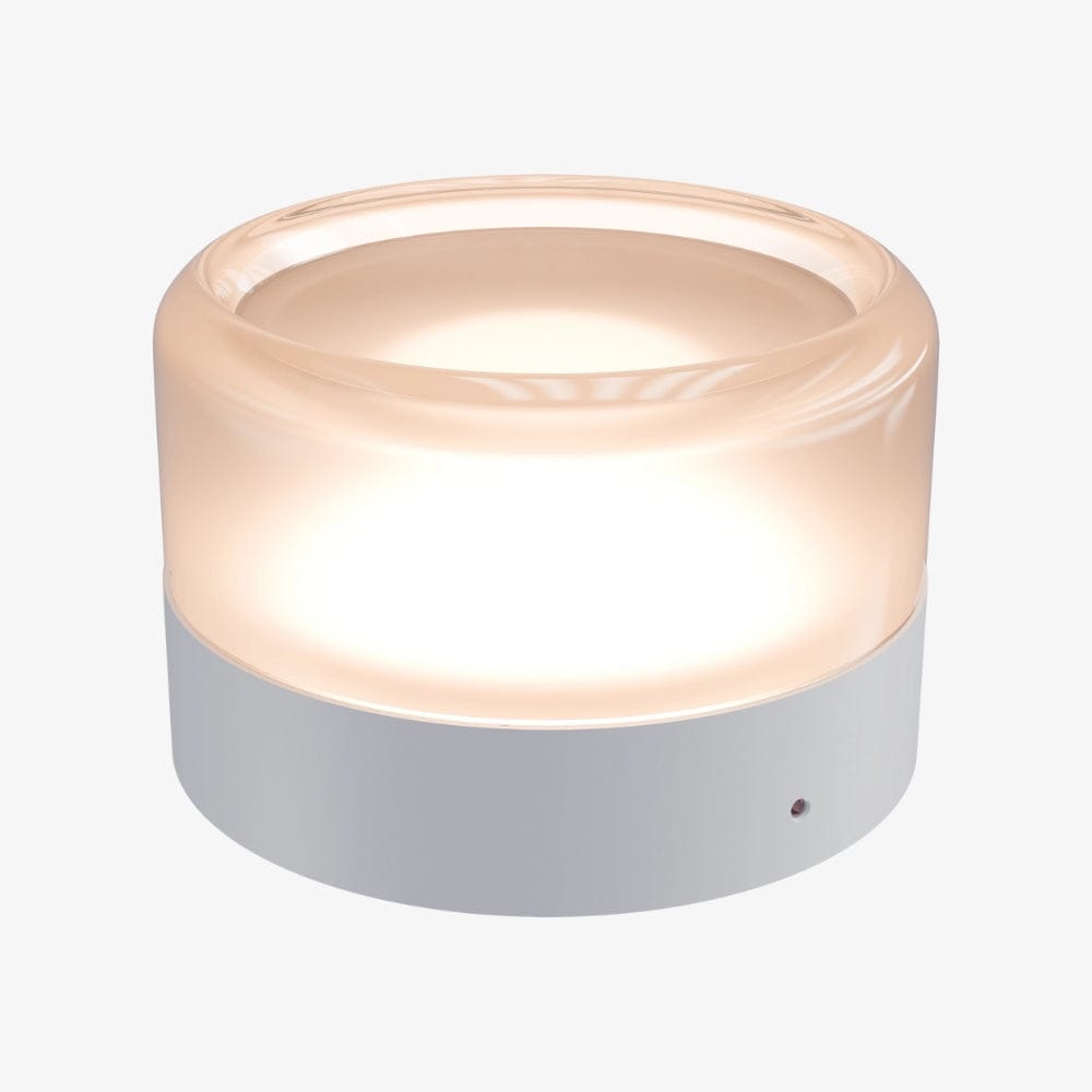 Interior Wall Light / Sconce Gull Wall Light