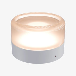 Interior Wall Light / Sconce Gull Wall Light