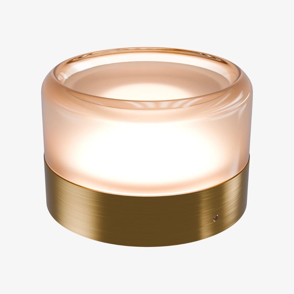 Interior Wall Light / Sconce Gull Wall Light