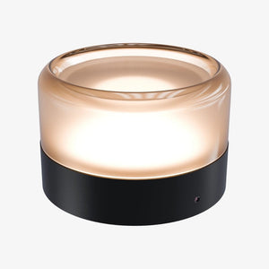 Interior Wall Light / Sconce Gull Wall Light