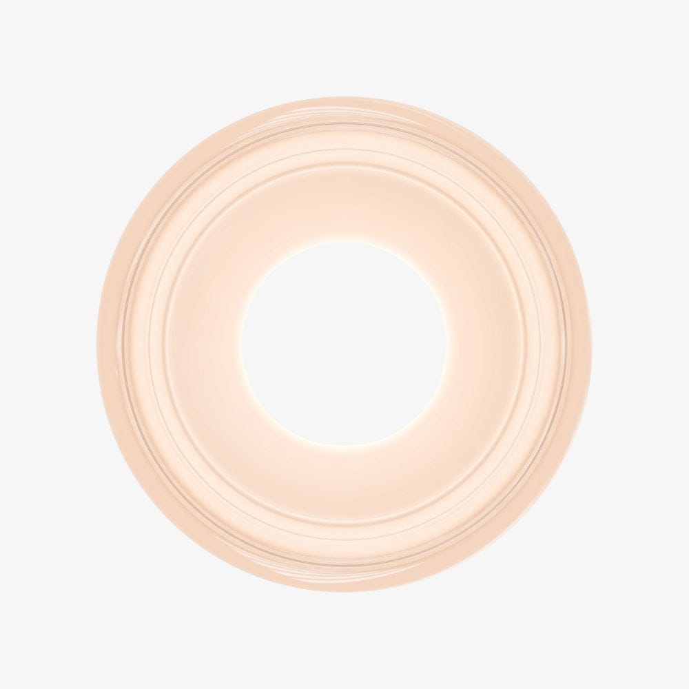 Interior Wall Light / Sconce Gull Wall Light