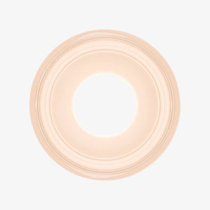 Interior Wall Light / Sconce Gull Wall Light