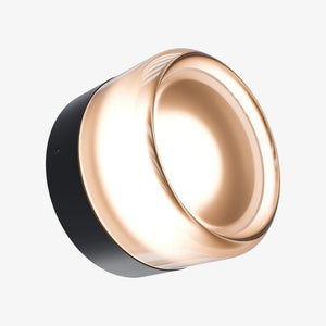 Interior Wall Light / Sconce Gull Wall Light