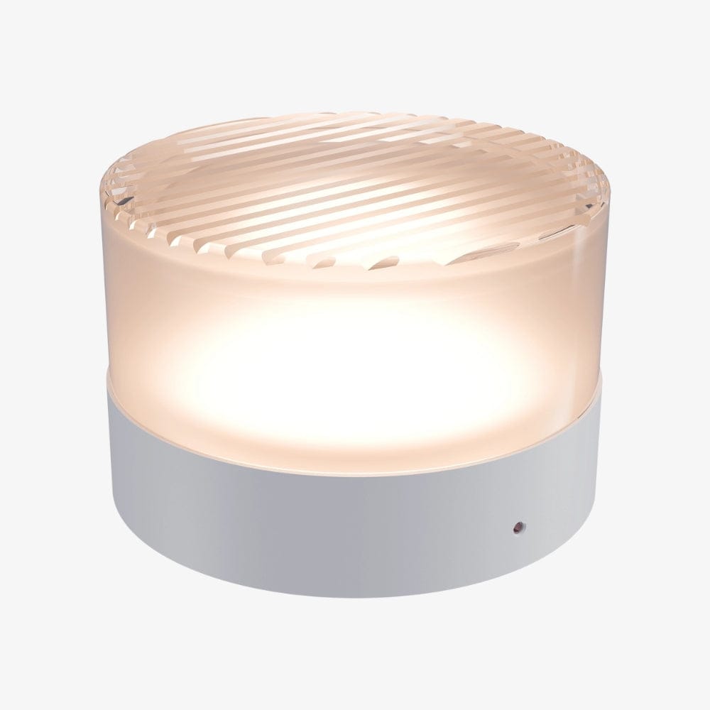 Interior Wall Light / Sconce Gull Wall Light