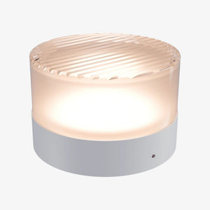 Interior Wall Light / Sconce Gull Wall Light