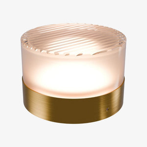 Interior Wall Light / Sconce Gull Wall Light