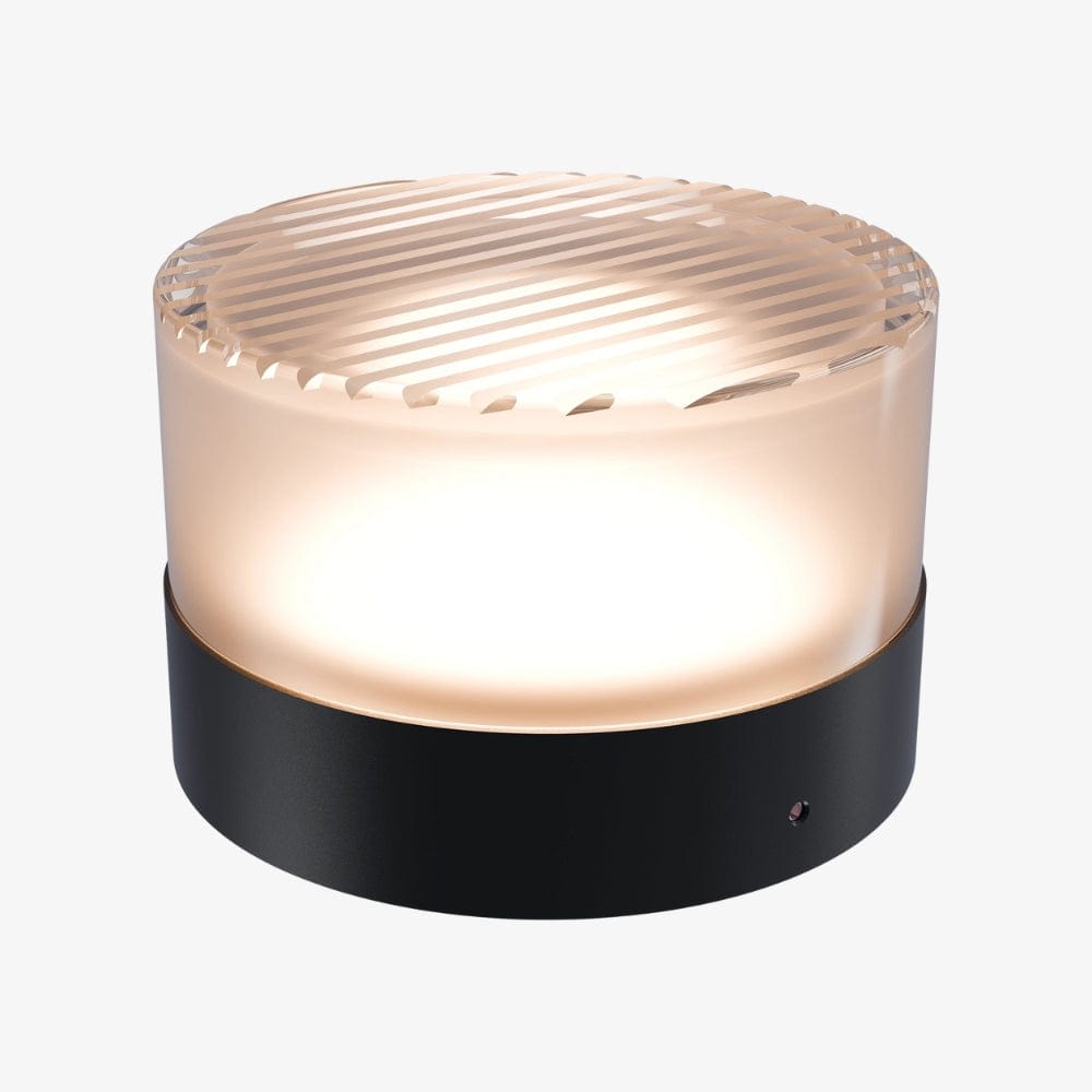 Interior Wall Light / Sconce Gull Wall Light